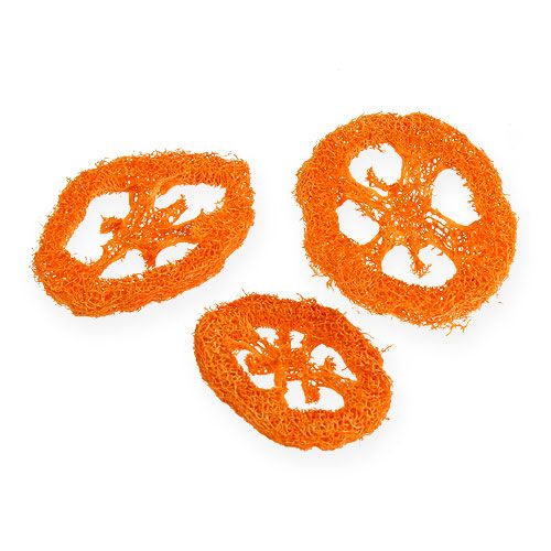 Loofah Skivor Apelsin 25st