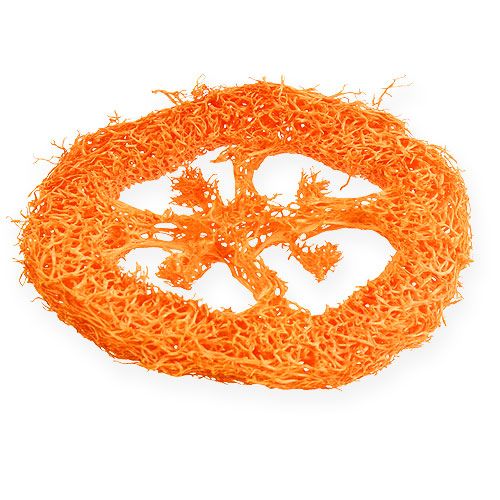 Loofah Skivor Apelsin 25st