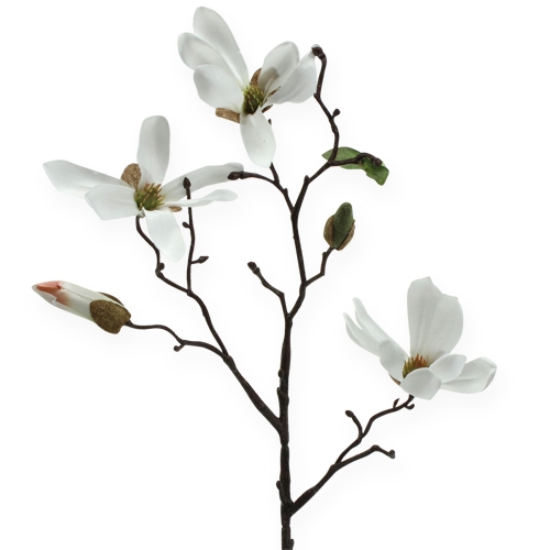 Floristik24 Dekorativ gren Magnolia 40cm vit 4st