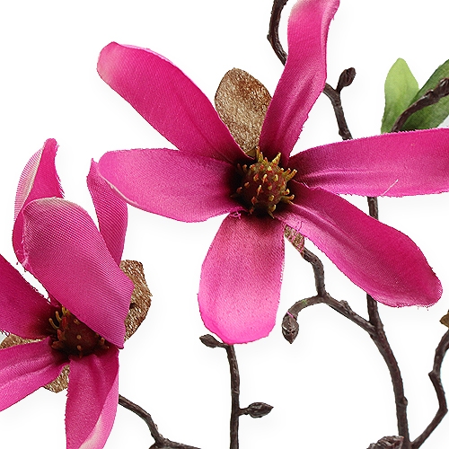 Artikel Magnolia grenrosa 45 cm 4st