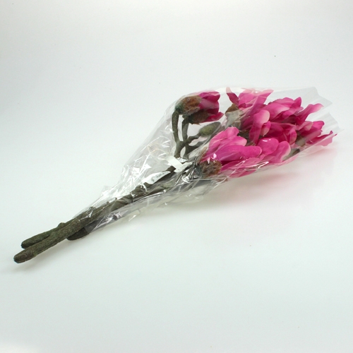 Floristik24 Magnolia gren 45cm 3st