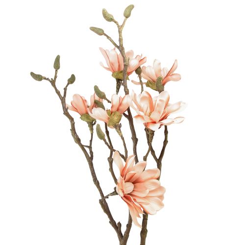 Floristik24 Magnolia gren med 6 blommor Magnolia konstgjord lax 84cm