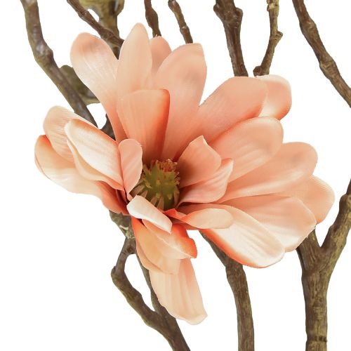 Floristik24 Magnolia gren med 6 blommor Magnolia konstgjord lax 84cm