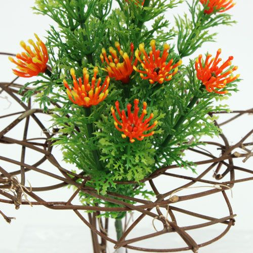 Floristik24 Vinmanschett Ø15cm 8st