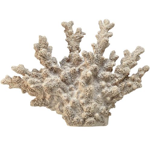 Floristik24 Detaljerad koralldekoration av polyresin i grått - 26 cm - maritim elegans för ditt hem