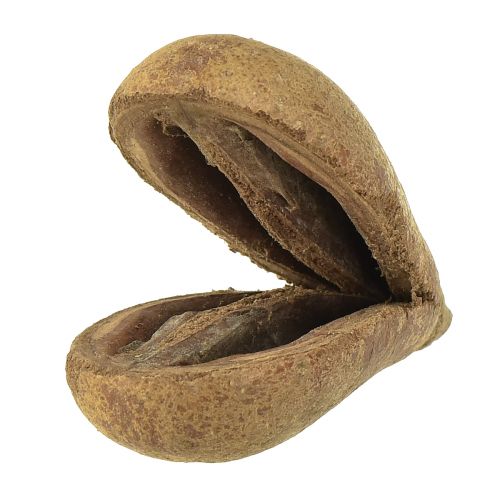 Floristik24 Mike Fruit Natural Materials Bagon Fruit Natural 8cm 50 st