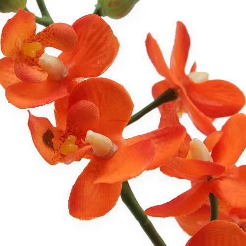 Floristik24 Mini orkidé Real Touch Orange 35cm