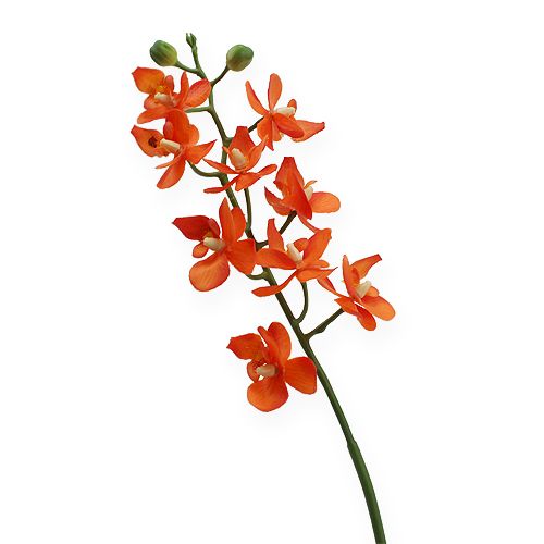 Floristik24 Mini orkidé Real Touch Orange 35cm