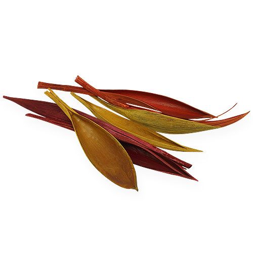 Floristik24 Kokosblad mini 3-färgad röv. 0,5 kg