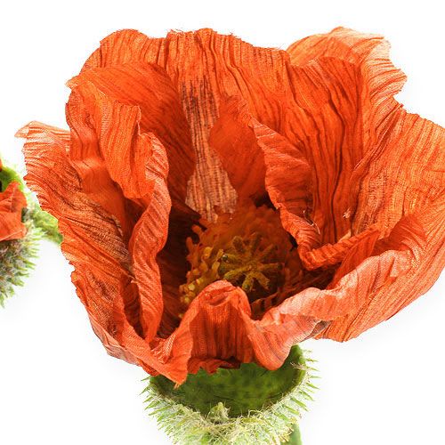 Floristik24 Vallmo orange 67cm 2st