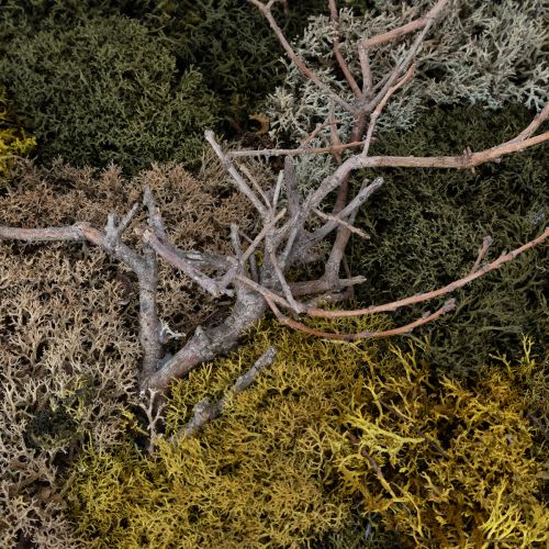 Artikel Mossbild, äkta konserverad mossa och kvistar, naturlig, 60×40 cm