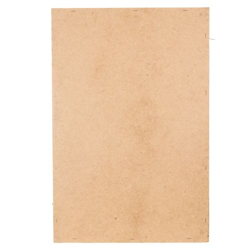 Artikel Mossbild, äkta konserverad mossa och kvistar, naturlig, 60×40 cm