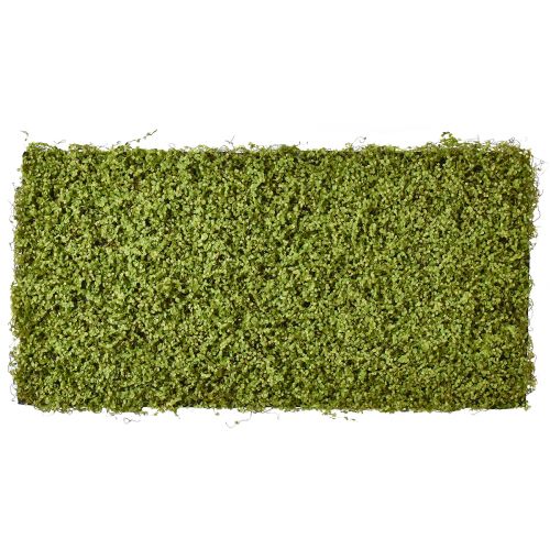 Mossamatta konstmossa för mossabild grön 100×50cm