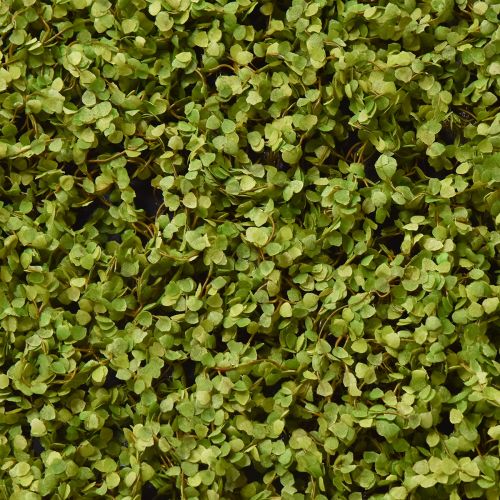 Artikel Mossamatta konstmossa för mossabild grön 100×50cm
