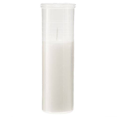Floristik24 Påfyllningsljus för gravljus vit 84h H17cm 5 st