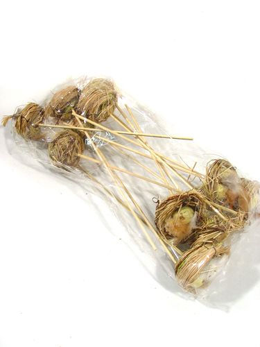 Floristik24 Fågelbo med ägg på pinnen 6cm 6st