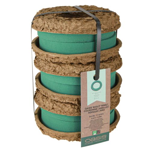 Artikel OASIS® Biolit® Ring/Krans 17cm 6 st