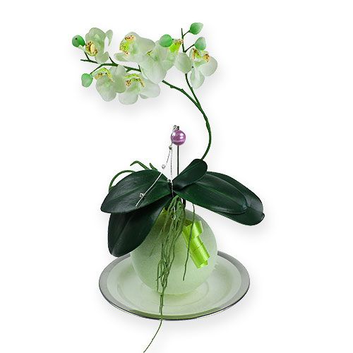 Floristik24 Blommor skum bollar grön 9cm 4st