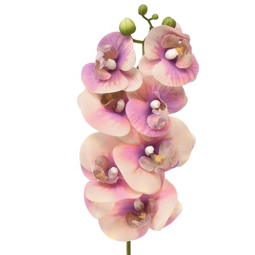 Floristik24 Orkidé Phalaenopsis konstgjord 7 blommor lila kräm 73cm