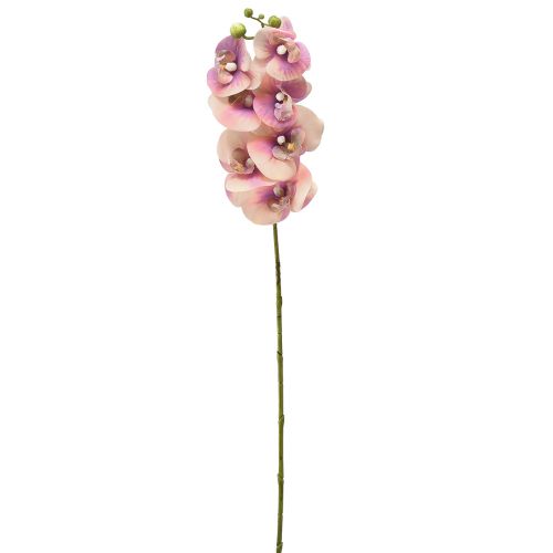 Artikel Orkidé Phalaenopsis konstgjord 7 blommor lila kräm 73cm
