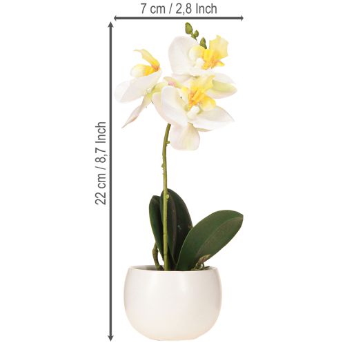 Artikel Konstgjorda orkidéer i kruka vita miniorkidéer Ø7cm H22cm