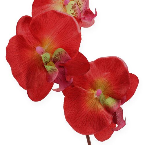 Artikel Deco orkidé röd 68cm