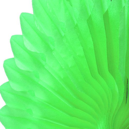 Floristik24 Honungskaka pappersblomma grön Ø40cm 4st