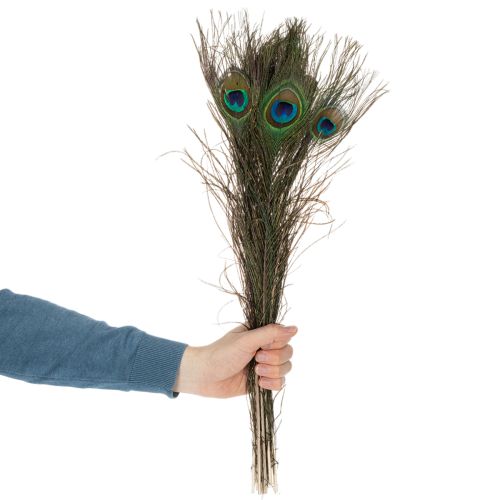 Artikel Påfågelfjädrar, riktiga fågelfjädrar för pyssel och dekoration, 55 cm, 10 stycken