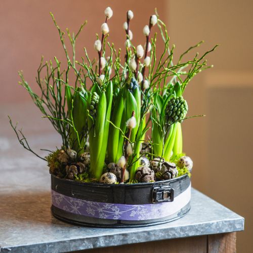 Floristik24 Planteringskärl, dekorativ bakform, springform för plantering, metalldekor Ø24cm H7,5cm