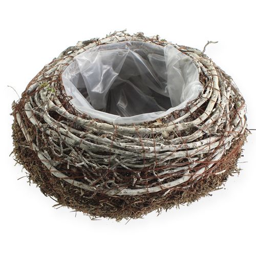 Floristik24 Plantskål Ø18cm