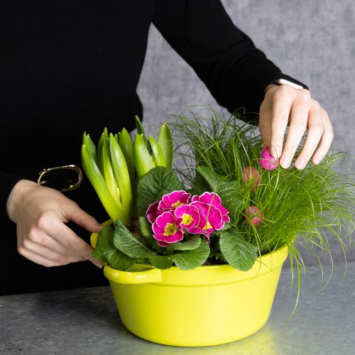 Artikel Plåtplanter, vårdekoration för vardagsrummet, 25 cm, 3 stycken