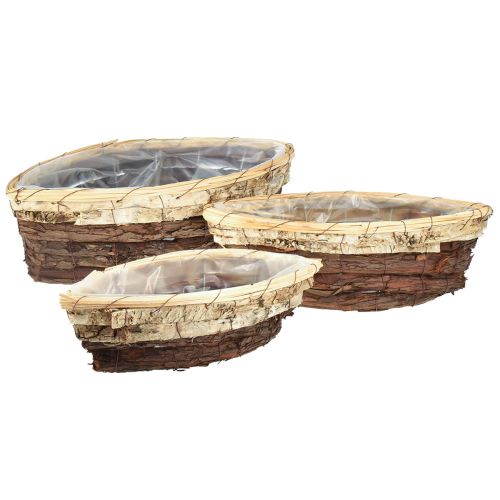 Plantbåtar träbark 3-färgad 33,5/40/48cm set om 3