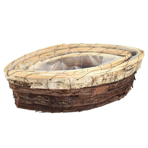 Floristik24 Plantbåtar träbark 3-färgad 33,5/40/48cm set om 3
