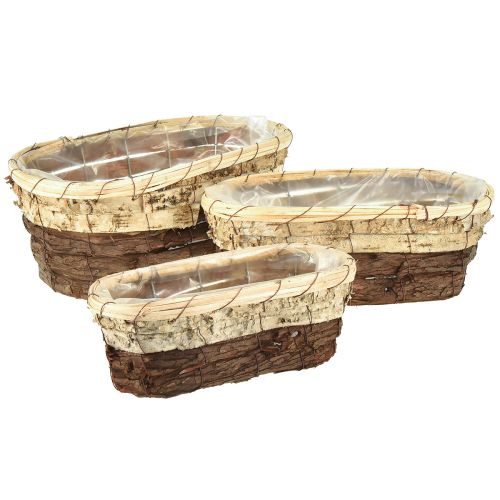 Växtbricka, naturligt trä, 3-färgad, L29,5/25/23cm, set om 3
