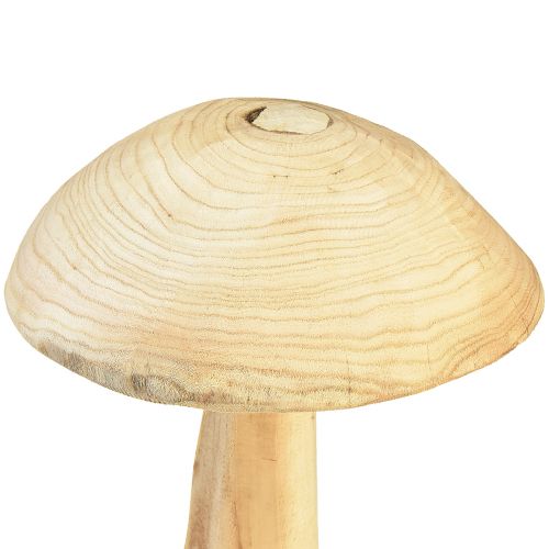 Floristik24 Svampskulptur i naturlig almträ - Rustik design, 37 cm - Snygg trädgård och inredning