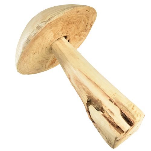 Floristik24 Svampskulptur i naturlig almträ - Rustik design, 37 cm - Snygg trädgård och inredning
