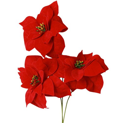 Artikel Magnifik julstjärna - Julstjärna i rött - 46 cm 6 stycken 2 klasar