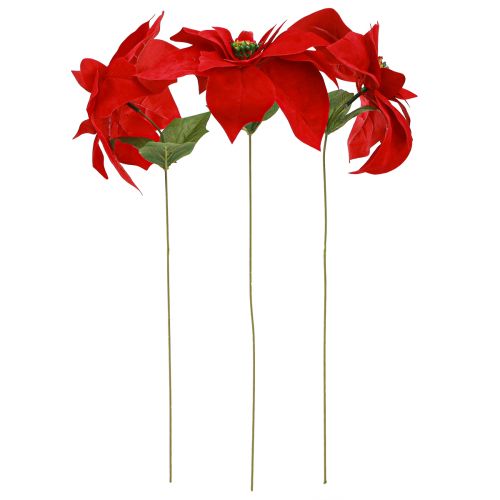 Artikel Magnifik julstjärna - Julstjärna i rött - 46 cm 6 stycken 2 klasar