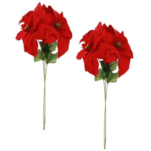Artikel Magnifik julstjärna - Julstjärna i rött - 46 cm 6 stycken 2 klasar