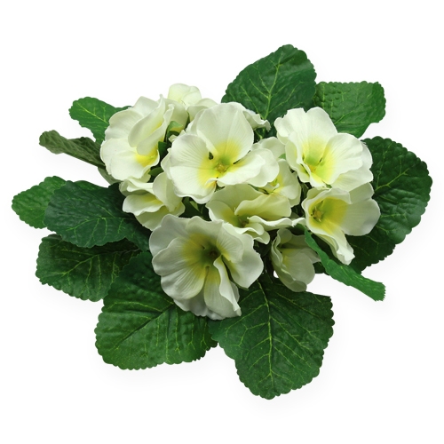 Floristik24 Konstgjorda blommor primula grädde