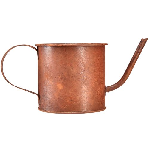 Artikel Rost dekorativ vattenkanna mini växtkruka metall Ø10cm H9cm