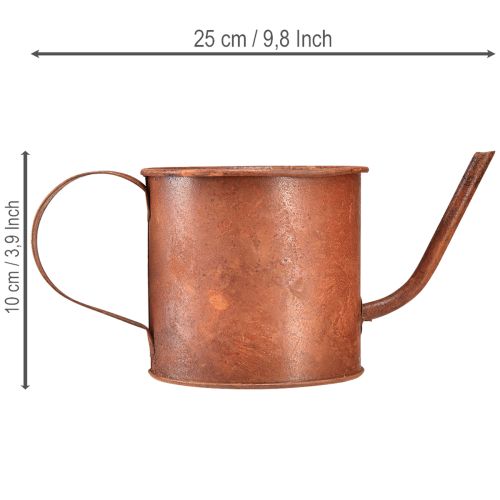 Artikel Rostig dekorativ vattenkanna, mini-växtkruka, metall, Ø10 cm, H9 cm