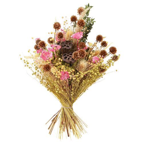 Artikel Scabiosa torkade naturliga scabiosa torkade blommor H50cm 100g