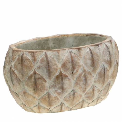 Floristik24 Planter betongblad motiv oval 23 cm