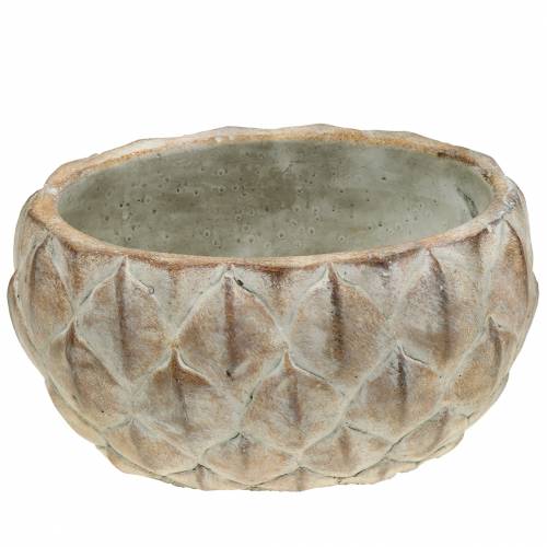 Floristik24 Planter betongblad motiv oval 23 cm