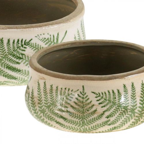 Floristik24 Växtskål ormbunkskärl i lergods rund keramik Ø14/18cm set om 2