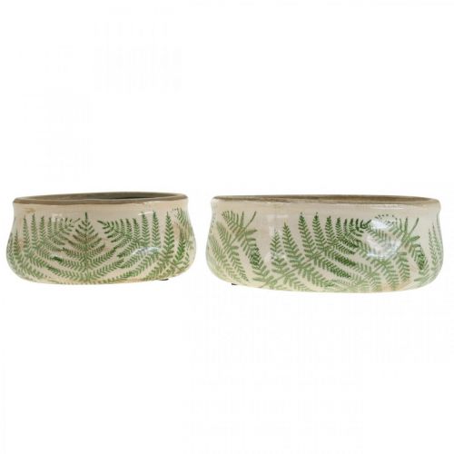 Floristik24 Växtskål ormbunkskärl i lergods rund keramik Ø14/18cm set om 2