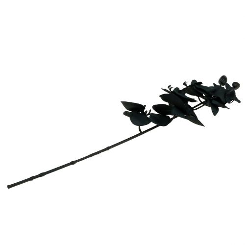 Artikel Orkidé att dekorera Svart 54cm