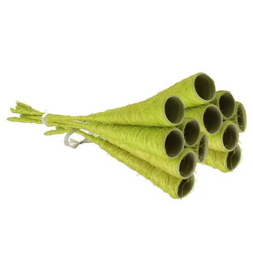 Floristik24 Sisal-tratt ljusgrön Ø3cm L30cm 12st