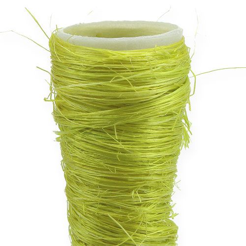 Floristik24 Sisal-tratt ljusgrön Ø3cm L30cm 12st